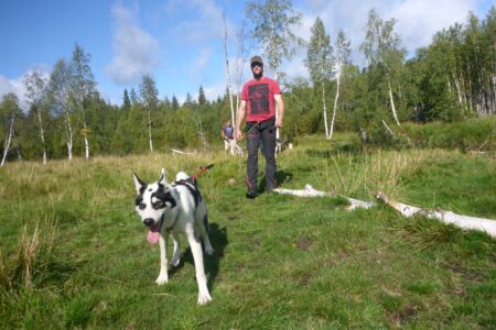 Wellness week – Sörbyn Lodge
