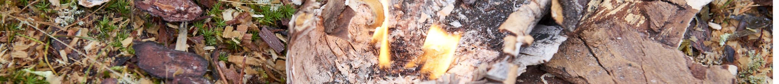 Swedish Lapland Coast to Mountains – Autumn