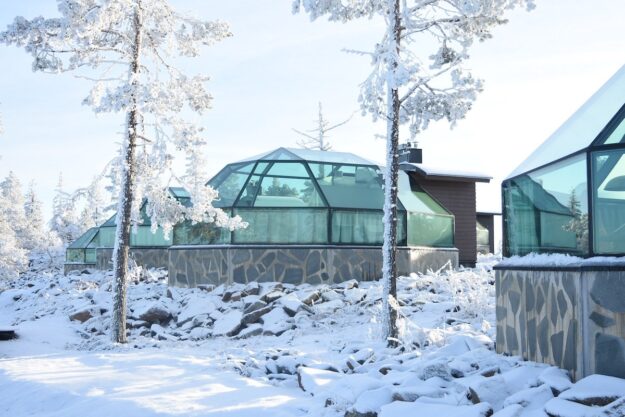 Levin Igloo Golden Crown