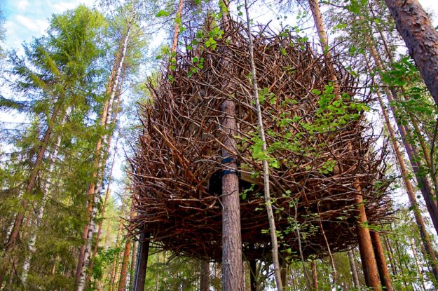 Treehotel
