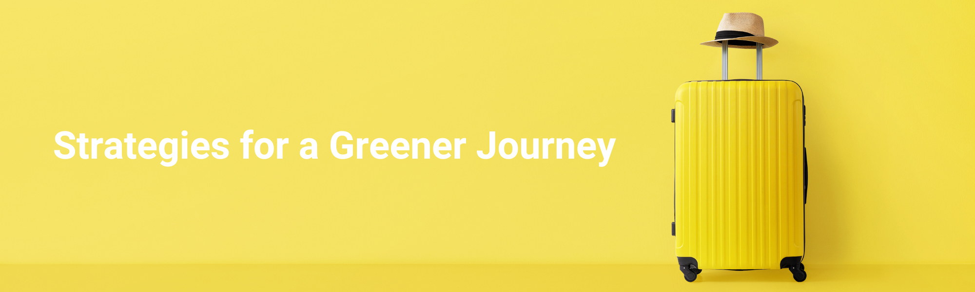 Strategies for a Greener Journey