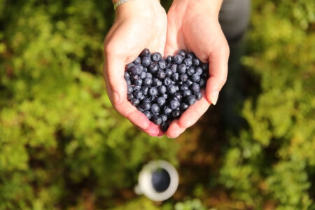 What Luxury Means in the Nordics